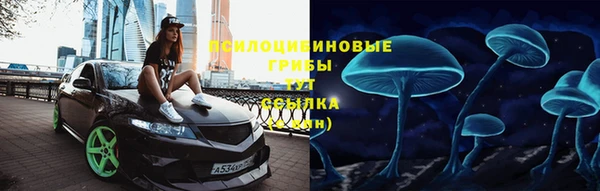 гашик Алзамай
