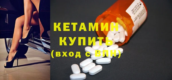 гашик Алексин