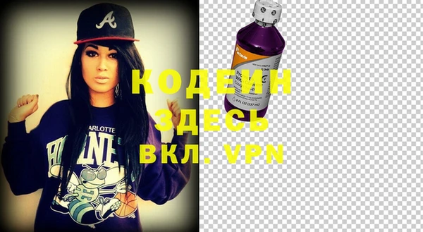 гашик Алзамай